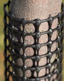 Plastic Netting protects saplings from foraging wildlife